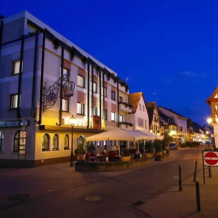 Hotel Adler & Restaurant 4*