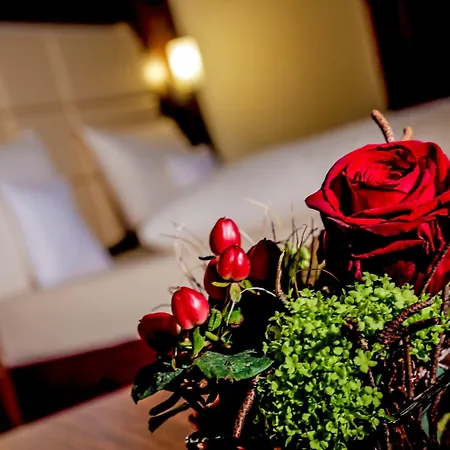 Hotel Adler & Restaurant 4*