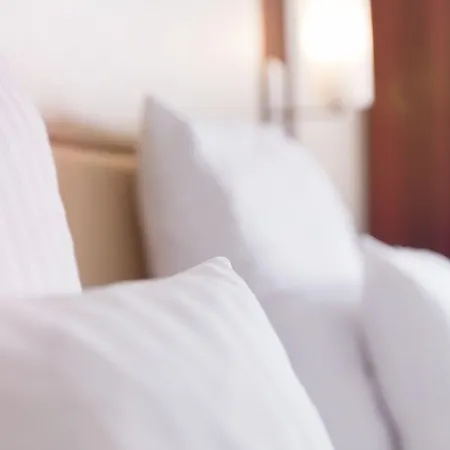 Adler & Restaurant Otel