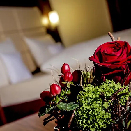 Adler Hotel&restaurant Groß-gerau Groß-Gerau
