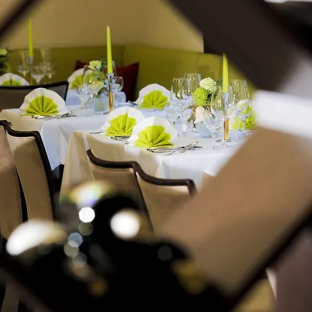 Adler Hotel&restaurant Groß-gerau 4* Groß-Gerau