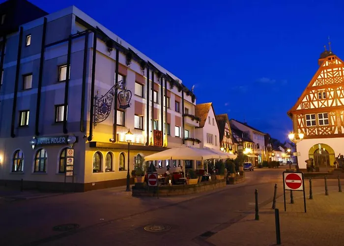 Hotel Adler & Restaurant 4*